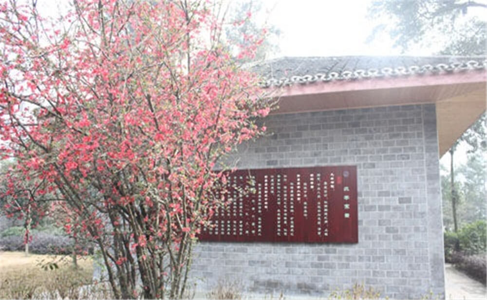 彭州中學(xué)2020年招生標(biāo)準(zhǔn)在哪兒看？