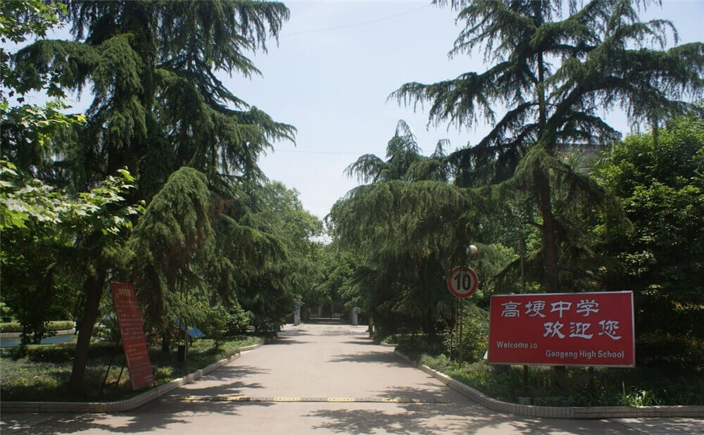 高埂中學(xué)的學(xué)費(fèi)是多少錢？