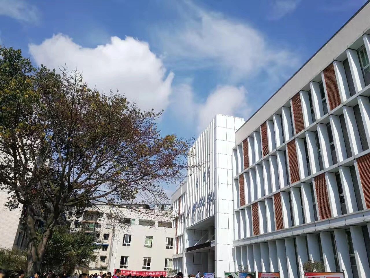 成都二十中高中一年的學(xué)費(fèi)是多少？