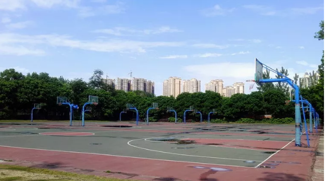 成都實(shí)驗(yàn)外國(guó)語(yǔ)學(xué)校的本科升學(xué)率是多少？