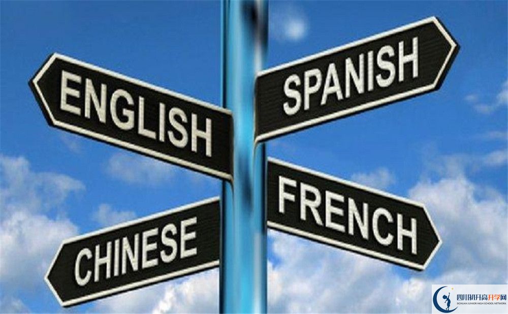 成都石室外國語學(xué)校的學(xué)費收費標(biāo)準(zhǔn)是多少？