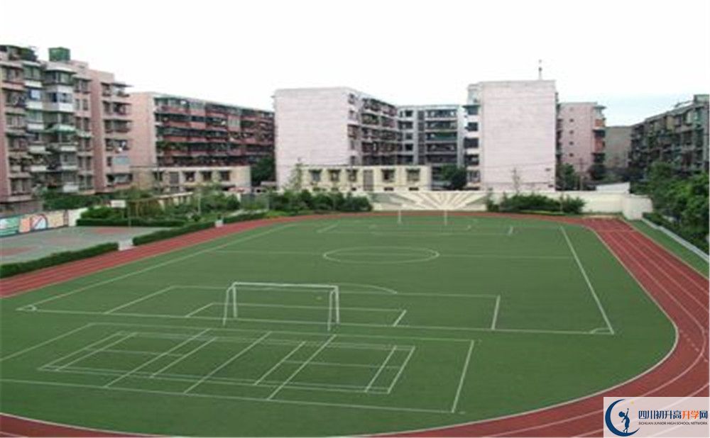 成都大學附屬中學的老師好不好？