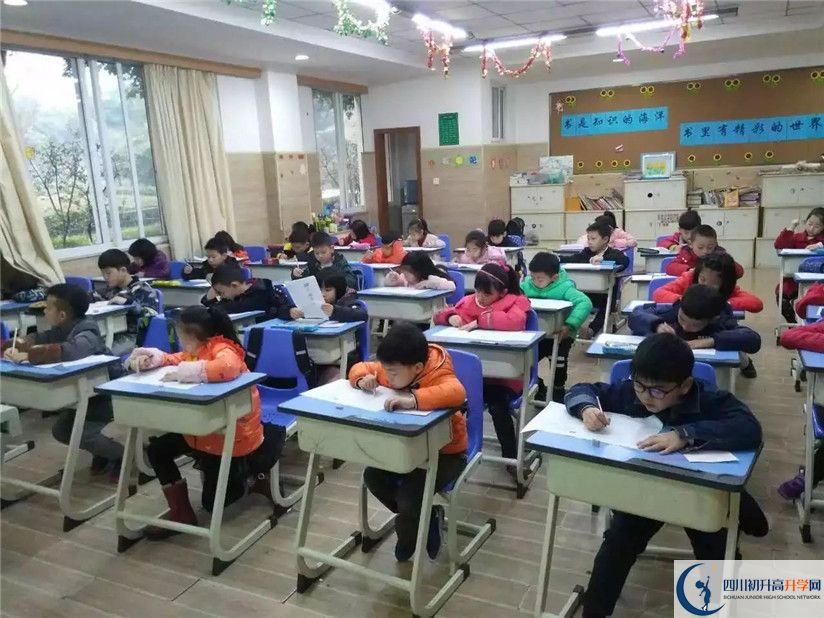 成都美視國際學校的老師好不好？