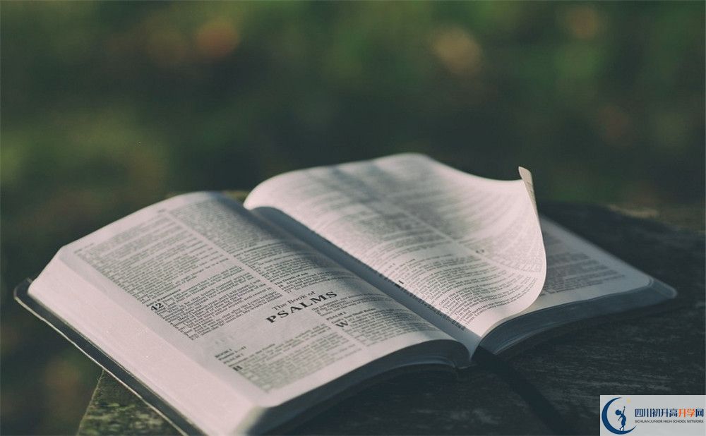成都石室外國語學校的初升高分數(shù)線是多少？