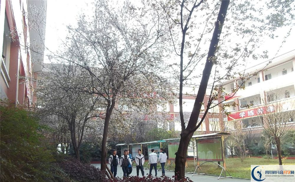 考崇慶中學的分數(shù)線是多少分？