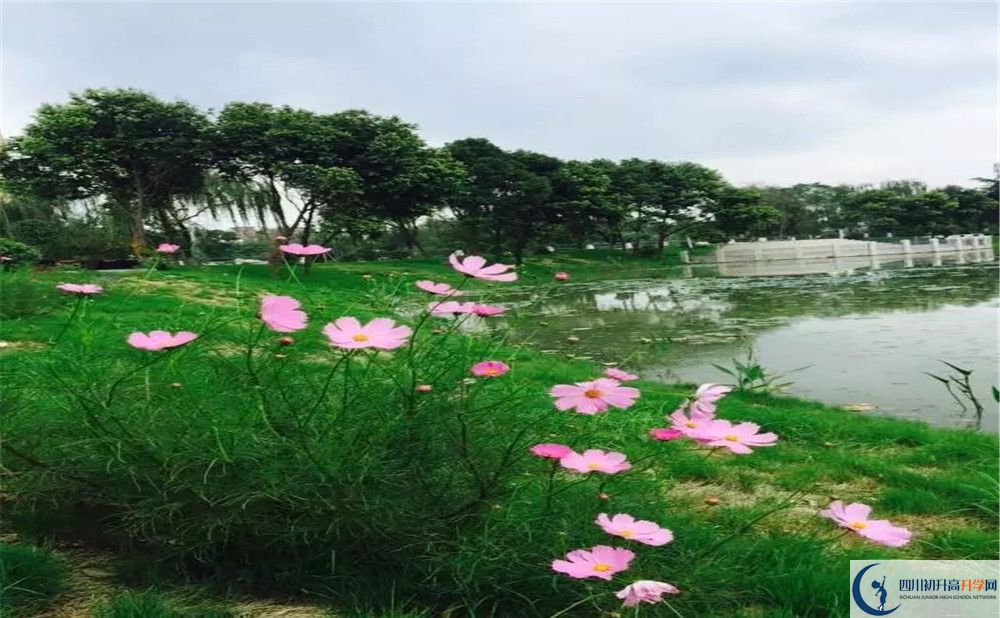 2020年三原外國(guó)語(yǔ)學(xué)校高中的分?jǐn)?shù)線是多少？