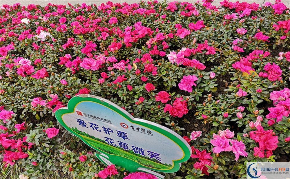 育才學校高中歷年來的分數線是多少？