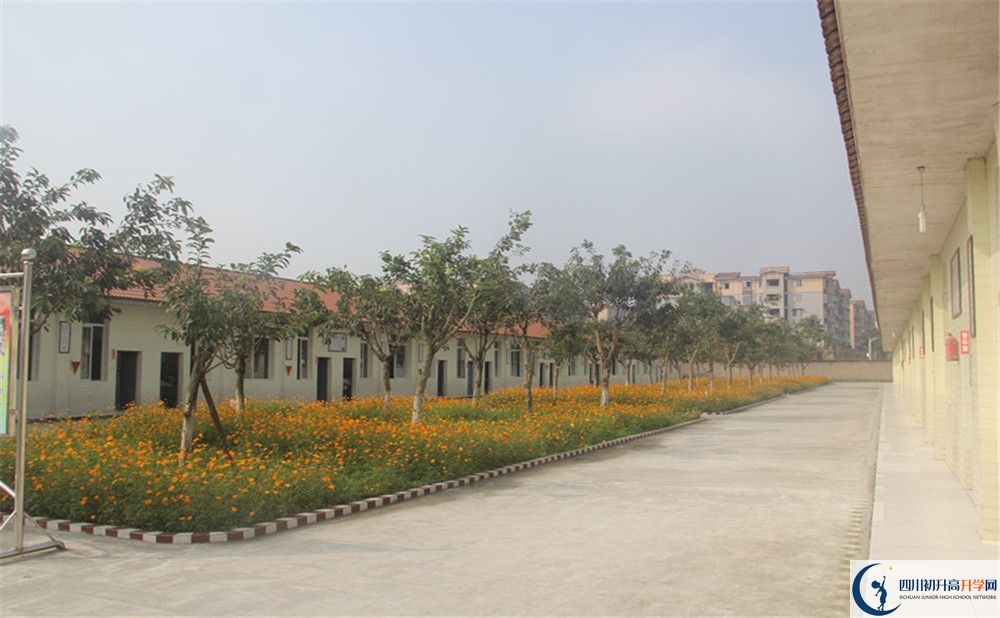 2020年強(qiáng)項(xiàng)實(shí)驗(yàn)中學(xué)自主招生考試報(bào)名時(shí)間是多久？
