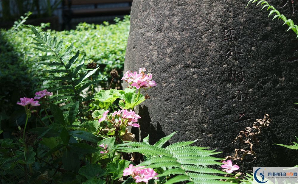 石室聯(lián)合中學蜀華分校住宿費用是多少？