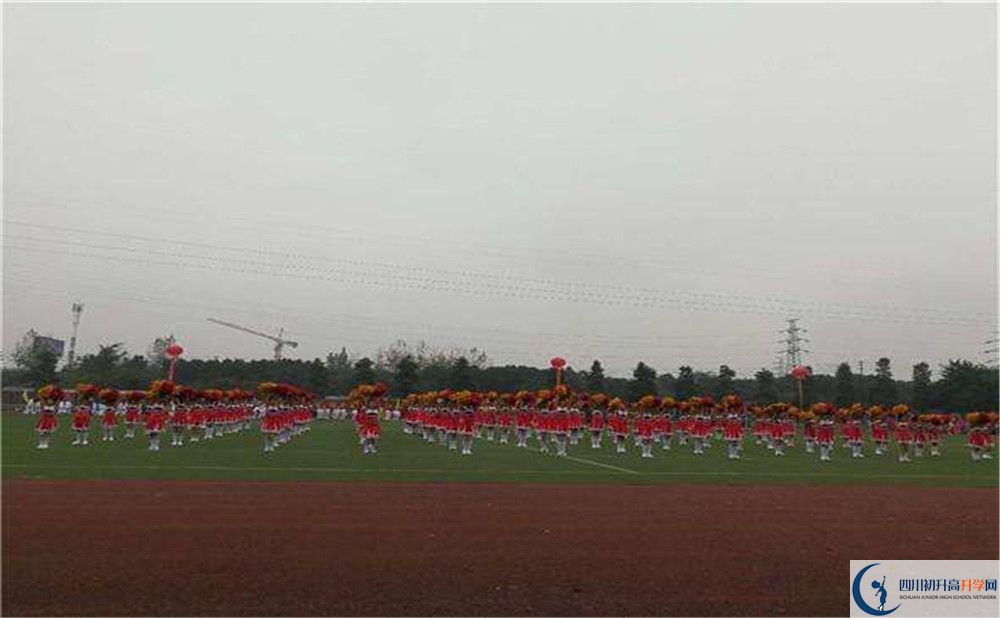成都新津為明學校2020年錄取條件是什么？