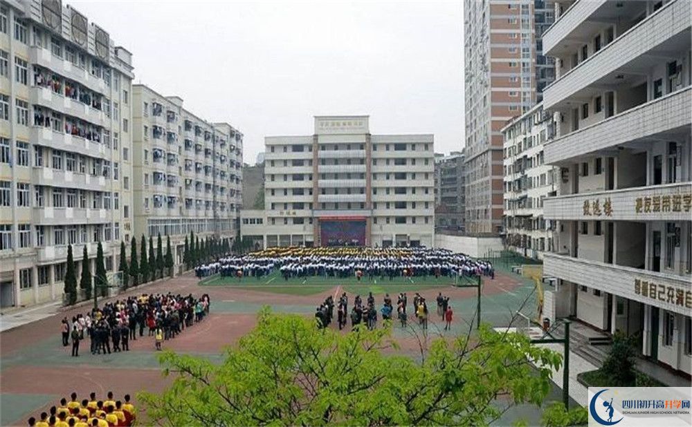 陽安中學(xué)的高一分班嗎？
