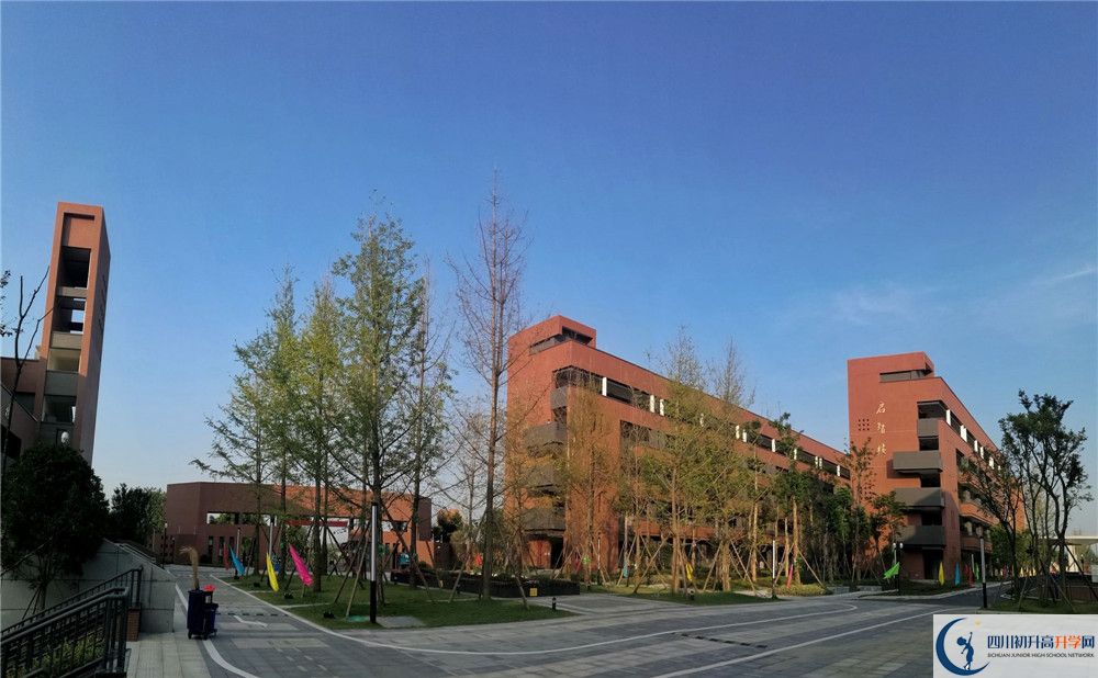 電子科技大學實驗中學高一多久放一次假？