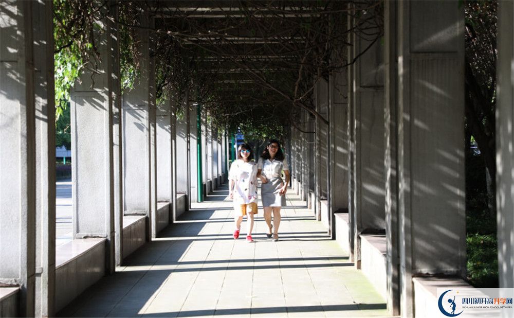 成都市龍泉中學(xué)2020年清華北大人數(shù)是多少？