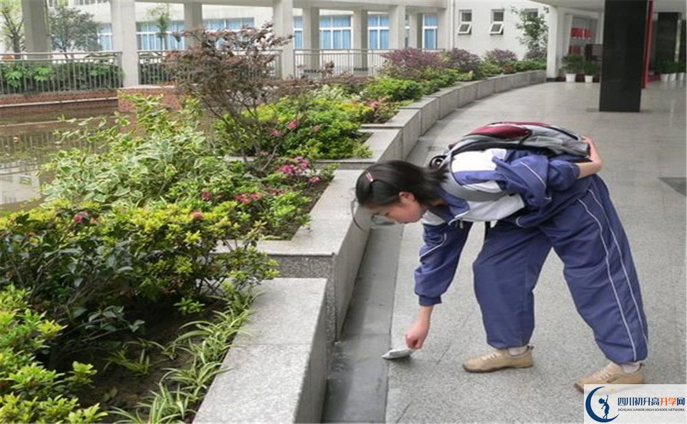 成都市龍泉中學初升高向外地招生嗎？