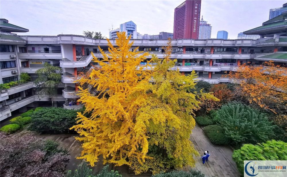 成都石室中學(xué)自主招生中考網(wǎng)上怎么報(bào)名？