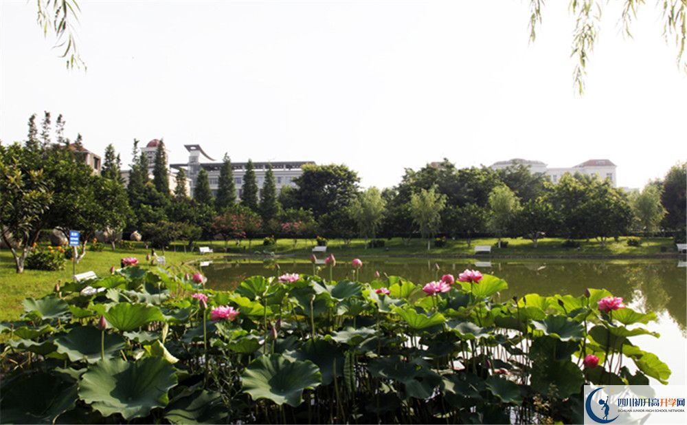 成都教科院附屬學(xué)校2020年保送清華北大的人數(shù)是多少？