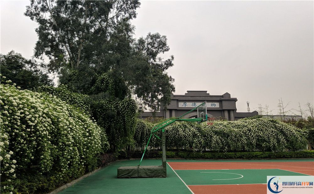 成都教科院附屬學校初升高難不難？
