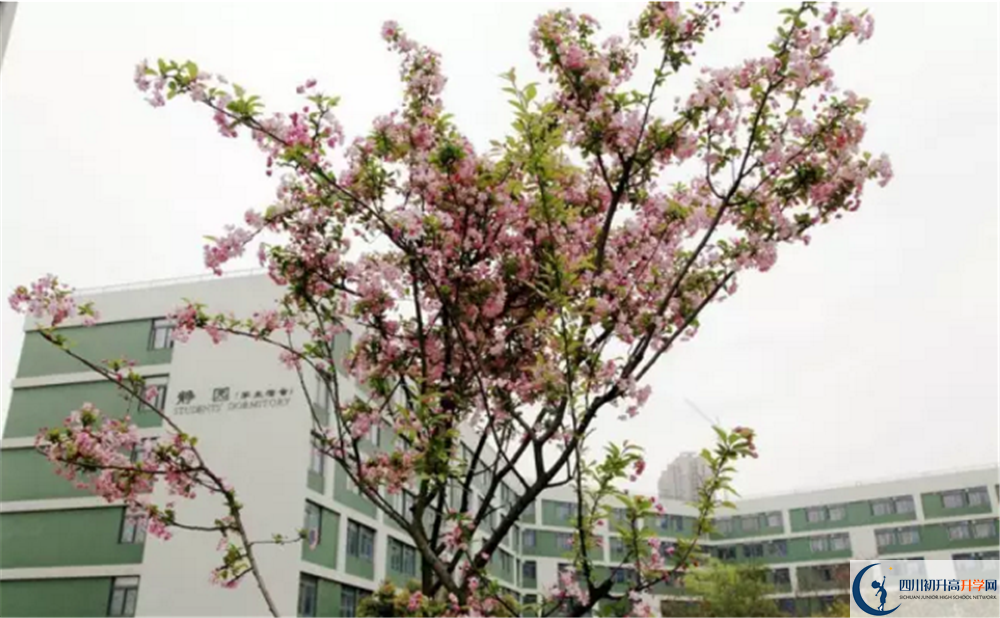 電子科技大學實驗中學2020高一開學時間是多久？