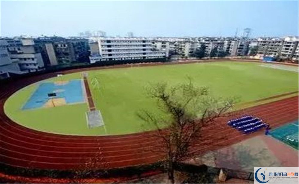 成都實外新都五龍山學(xué)校招生考試科目有哪些？