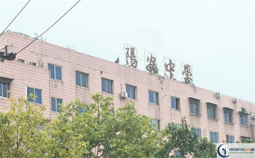 2020年陽(yáng)安中學(xué)成績(jī)查詢?nèi)肟谠谀睦铮? title=