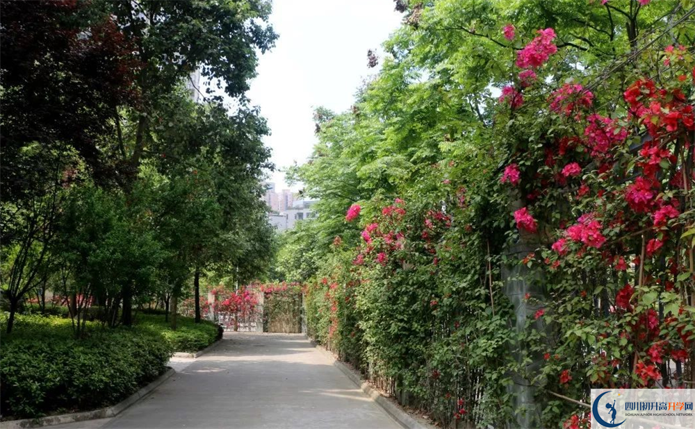 成都市第三中學(xué)平行班與實(shí)驗(yàn)班差多少？
