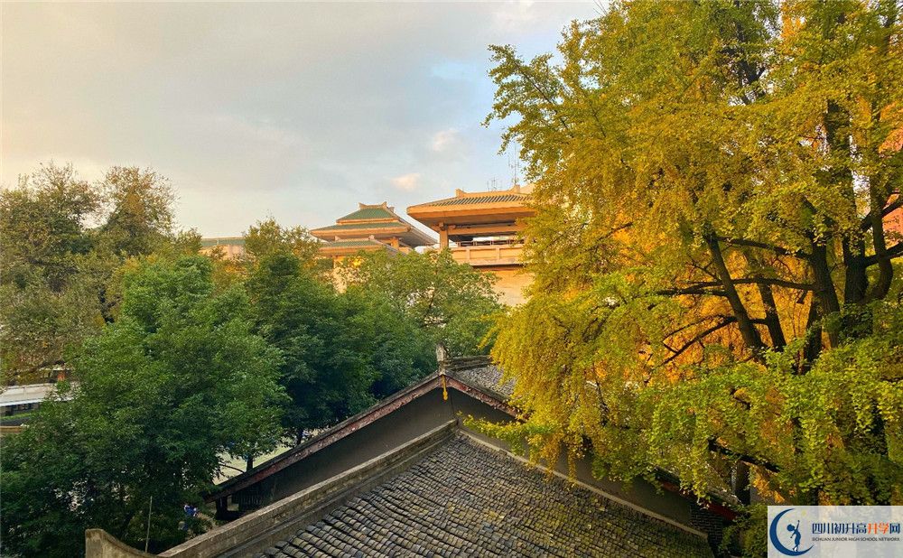 成都石室中學(xué)位置在哪里？