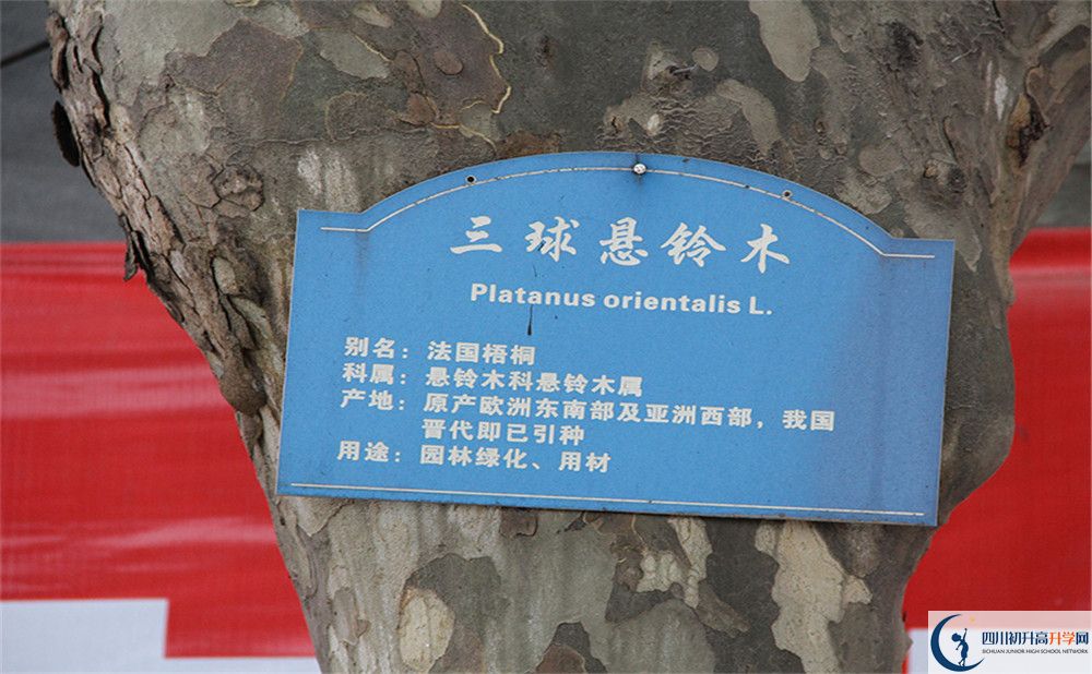 2020成都市第四十九中學(xué)高考重點(diǎn)大學(xué)升學(xué)率高嗎？