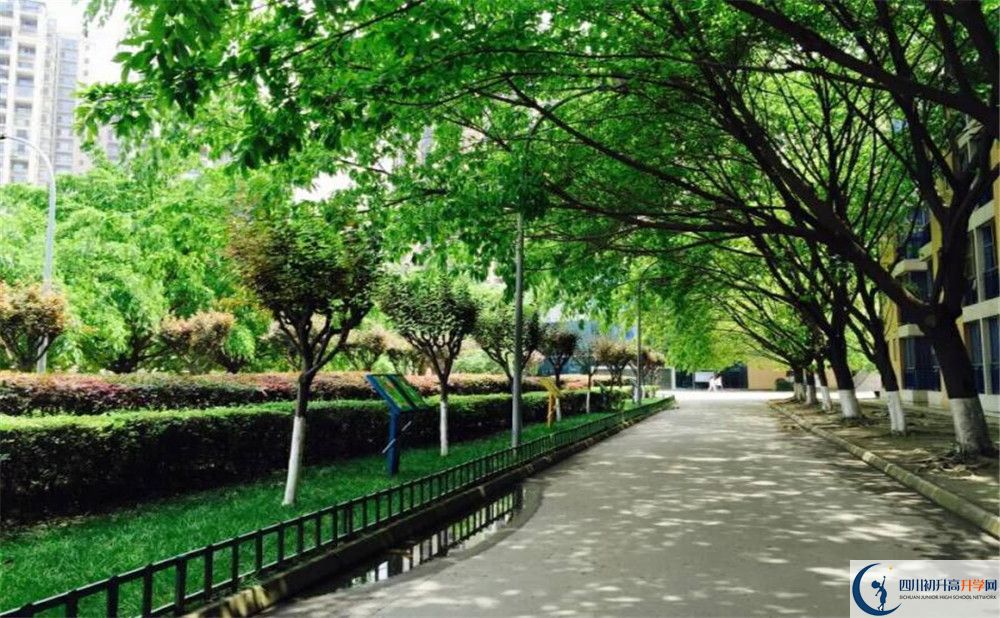 2020成都七中實驗學(xué)校高考重點大學(xué)升學(xué)率高嗎？