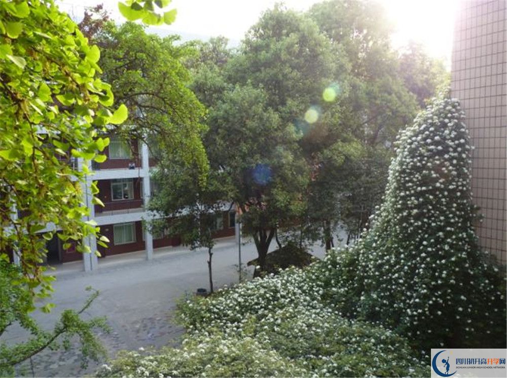 成都市石室聯(lián)中蜀華分校是私立收費(fèi)嗎？