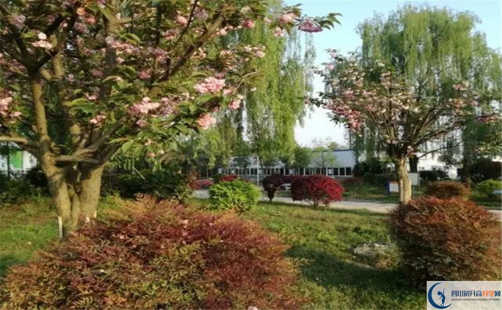 四川師范大學(xué)附屬第三實(shí)驗(yàn)中學(xué)實(shí)驗(yàn)班人數(shù)是多少？