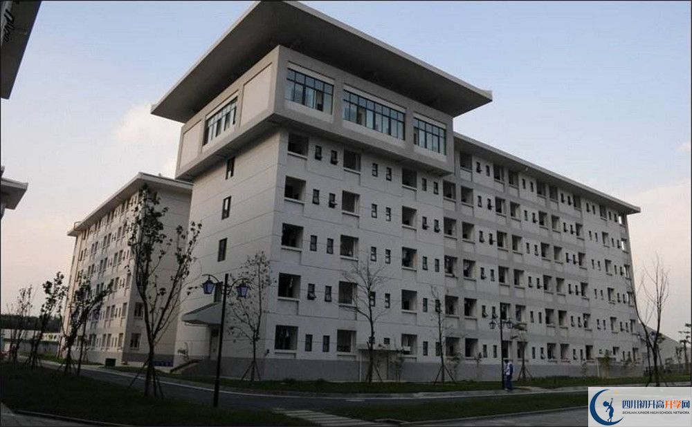 成都石室中學(xué)北湖校區(qū)的國際班怎么樣？
