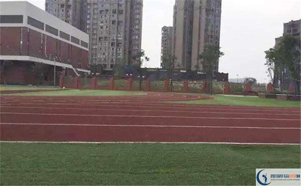 成都教科院附屬學(xué)校在校學(xué)生總?cè)藬?shù)是多少？