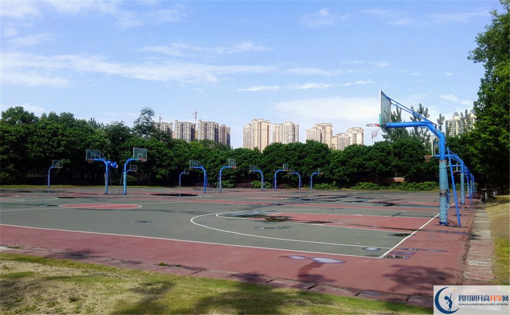 成都實驗外國語學校（西區(qū)）補課嗎？
