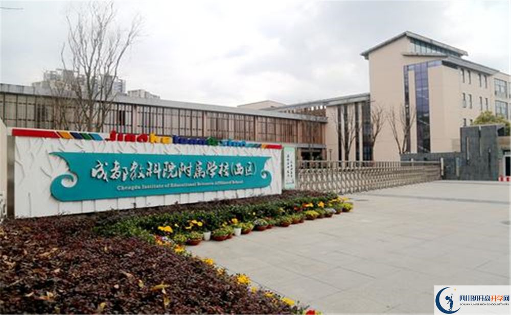 成都教科院附屬學(xué)校2020年高考人數(shù)是多少？