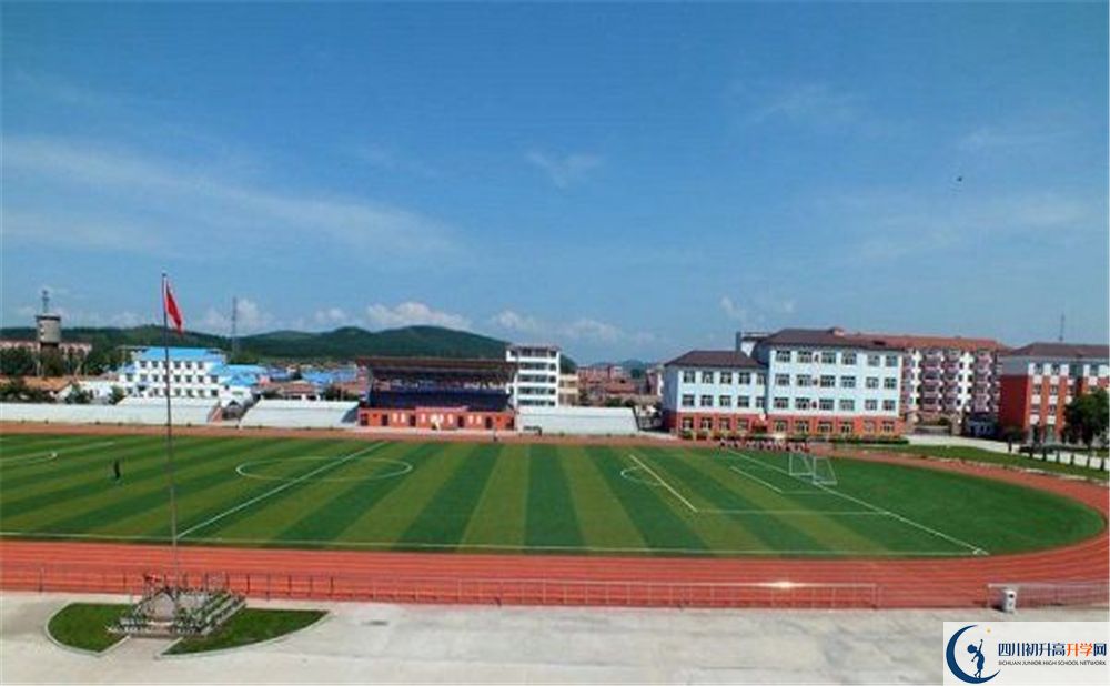 成都市華陽(yáng)中學(xué)2020年高考人數(shù)是多少？