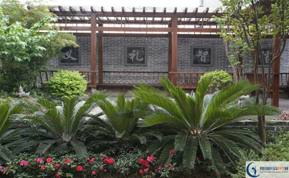 成都八中高三診斷考試時(shí)間怎么安排？