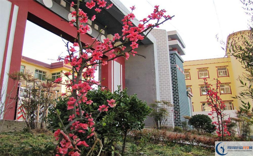金川中學(xué)今年的錄取條件是否有變化？