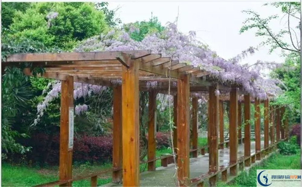 廣安花橋中學(xué)高三診斷考試時間怎么安排？