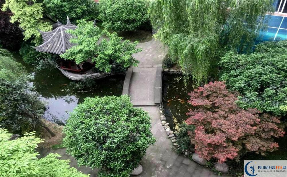 八中學(xué)校要多少分？