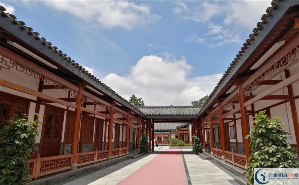 成都綿實(shí)外2020年怎么樣？