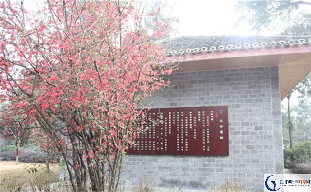 彭州中學(xué)2020年排名高不高？