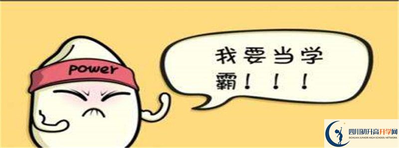 北二外成都附中2021清華北大錄取學(xué)生多少？