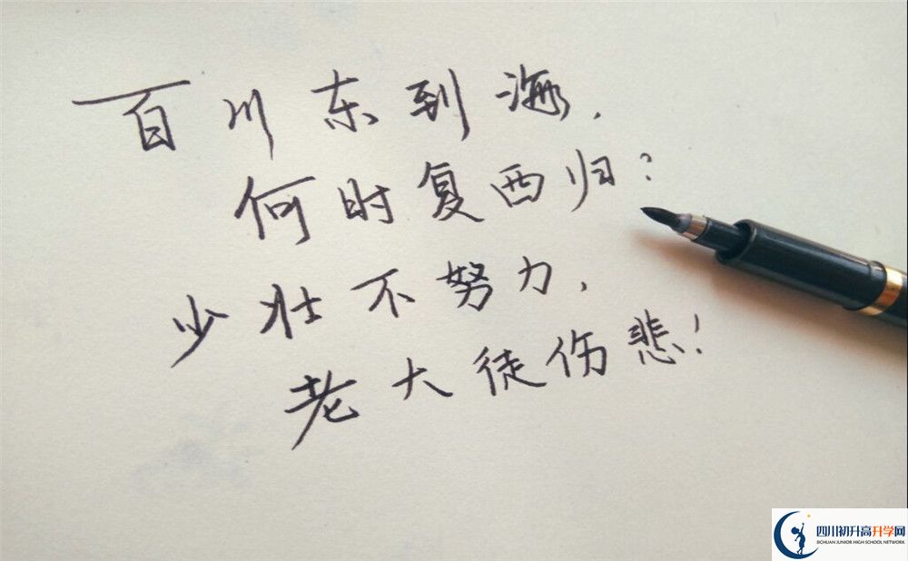 2023年成都市新津區(qū)實驗高級中學(xué)招生計劃是什么？